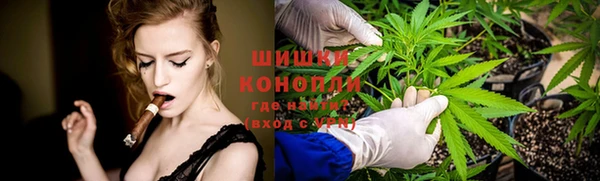 стафф Новокубанск