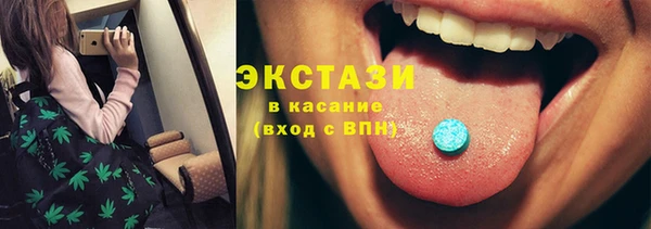 соль ск Новозыбков