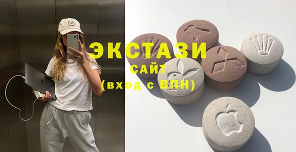 соль ск Новозыбков