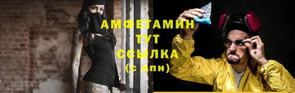 стафф Новокубанск