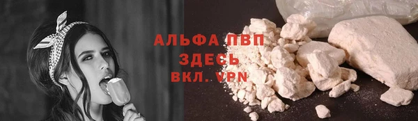 стафф Новокубанск