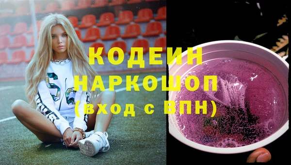 соль ск Новозыбков