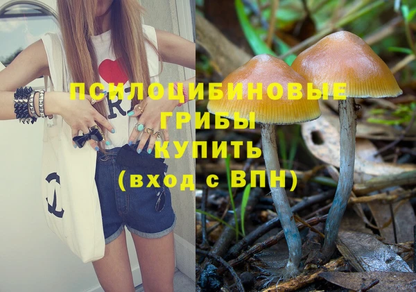 стафф Новокубанск
