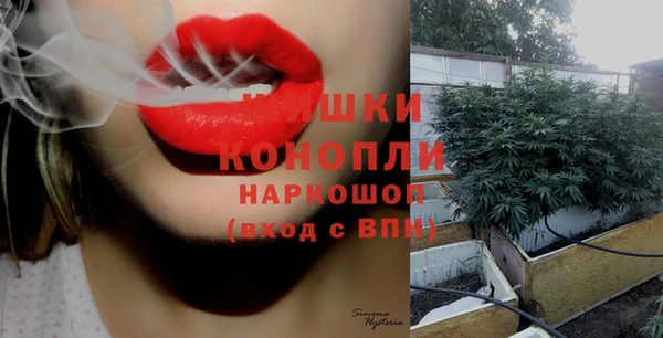 mix Новодвинск