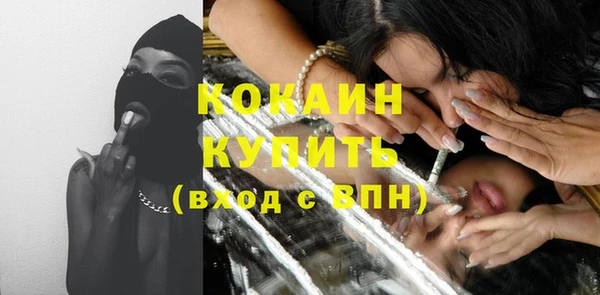 соль ск Новозыбков